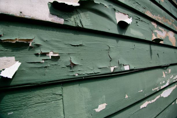 Best Brick Veneer Siding  in Beattystown, NJ