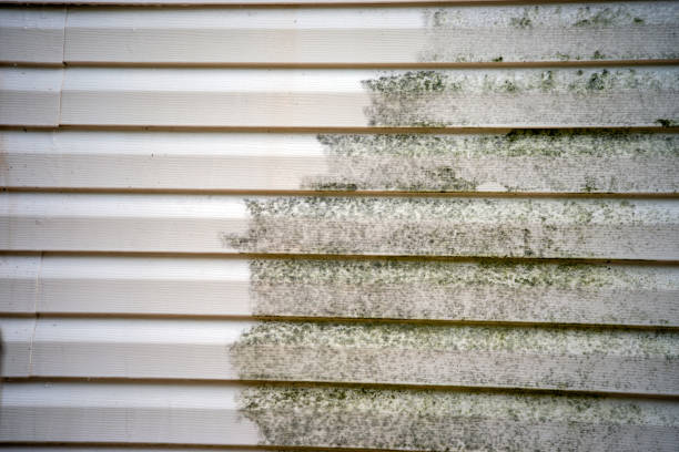 Best Wood Siding Installation  in Beattystown, NJ