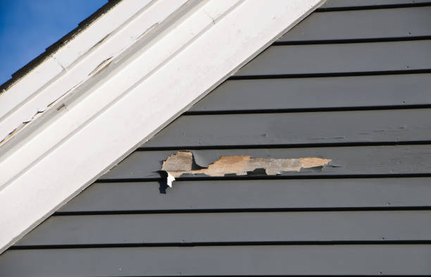 Best Storm Damage Siding Repair  in Beattystown, NJ